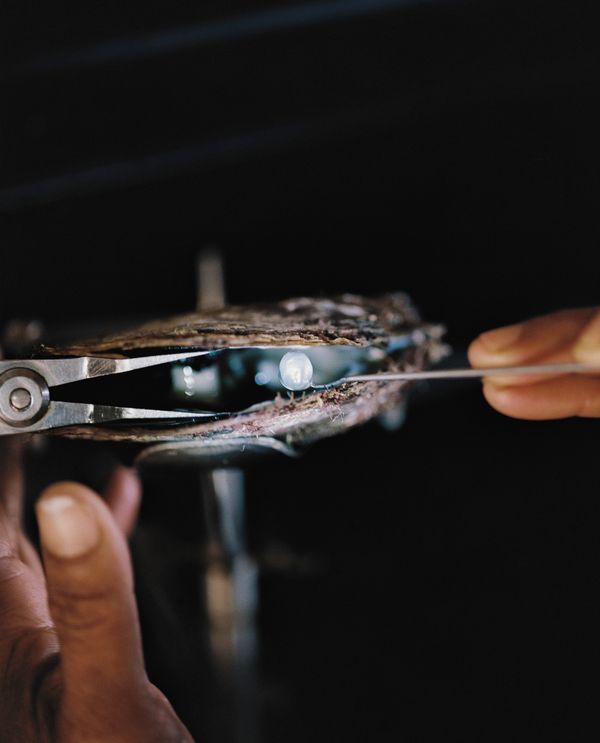 © Rita Puig-Serra, PhMuseum Lab