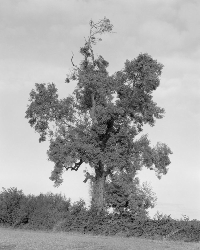 © Sean Gardiner, The Hasselblad Foundation Nature Photography Grant