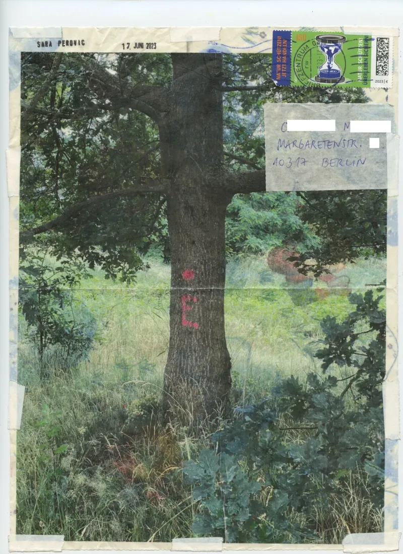 © Sara Perovic, Passage Art-Residency-Programme