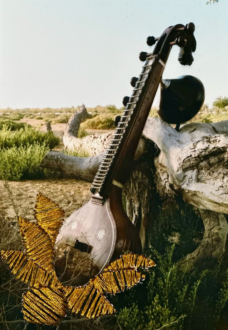 © Chetna Vaidyanath, PhMuseum Online Masterclasses Program