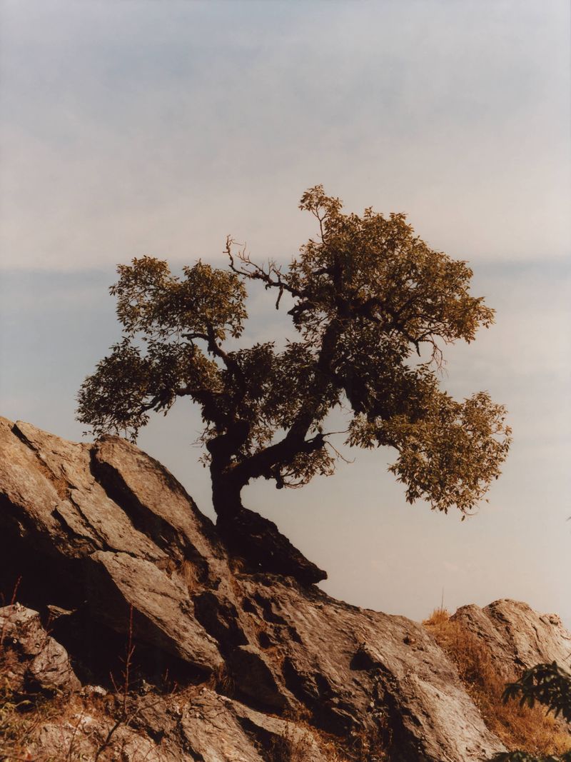 © Vivek Vadoliya, Photo London