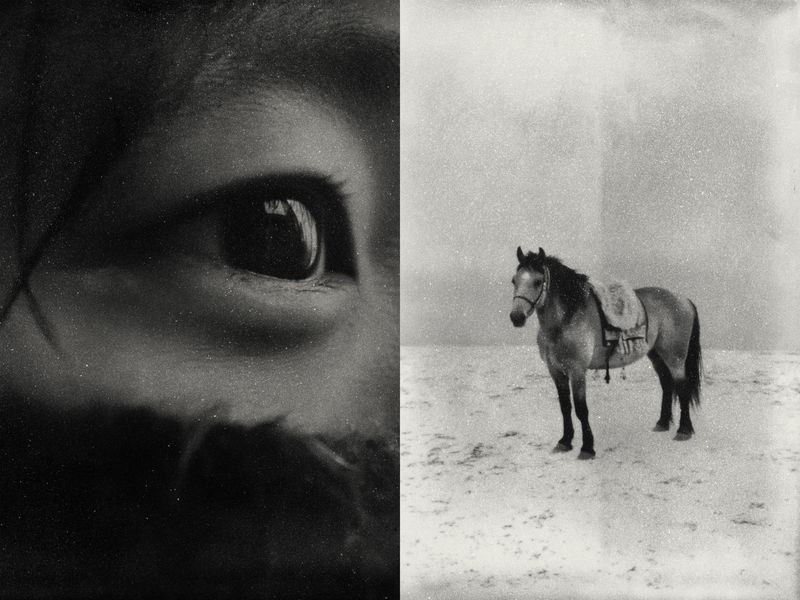 From Before Falling Into The Deep Valley © Zekun Wang