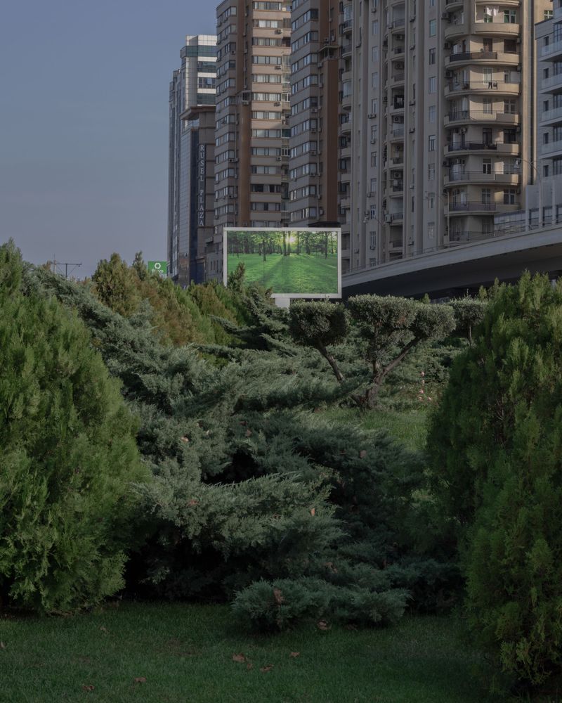 © Sean Charlton White, SIYU Award