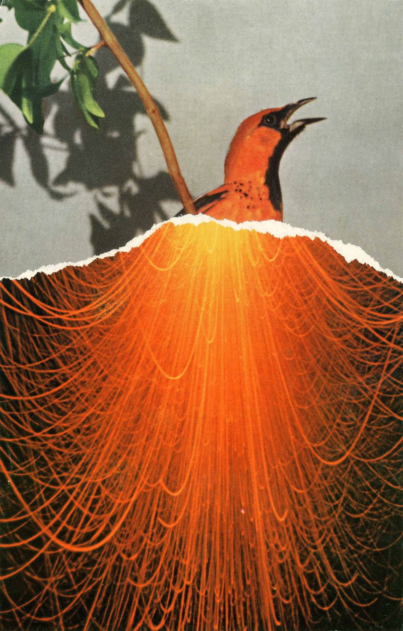 © Daniele Villa Zorn, Artphilein Open Call