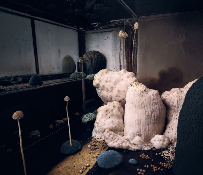 © Ben Millar Cole, Realisation Grants