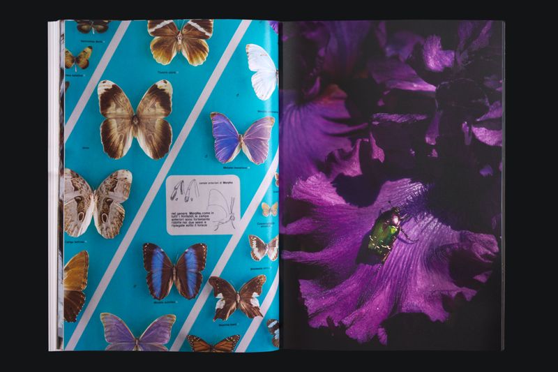 Animabilia by Clelia Cadamuro, published by Giostre Edizioni