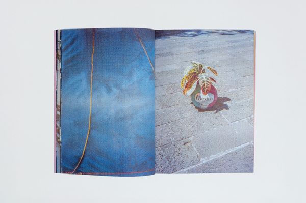 Bubble Gum Stuck On My Shoe by Carolina Pimenta, published by Atelier Tatanka