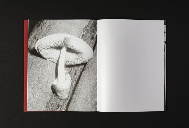 In Praise Of Shadow by Tomasz Kawecki, published by RUST Publishing