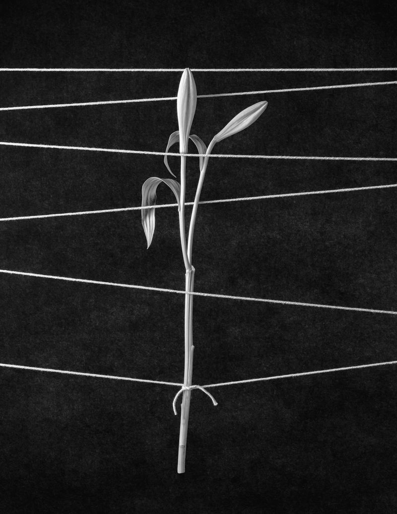 © Jonas Bjerre Poulsen, Haute Photographie