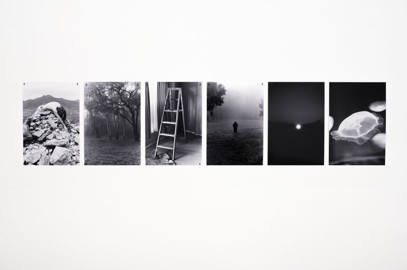 Detail from Holyday by DMT