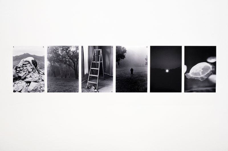 Detail from Holyday by DMT