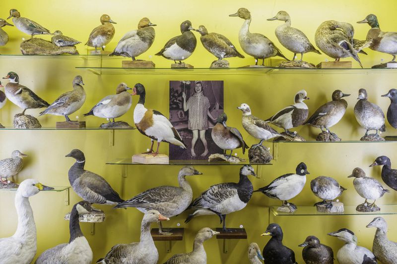 Installation view from the exhibition Human Zoo © Erik Kessels, head professor of Curae 2024/25