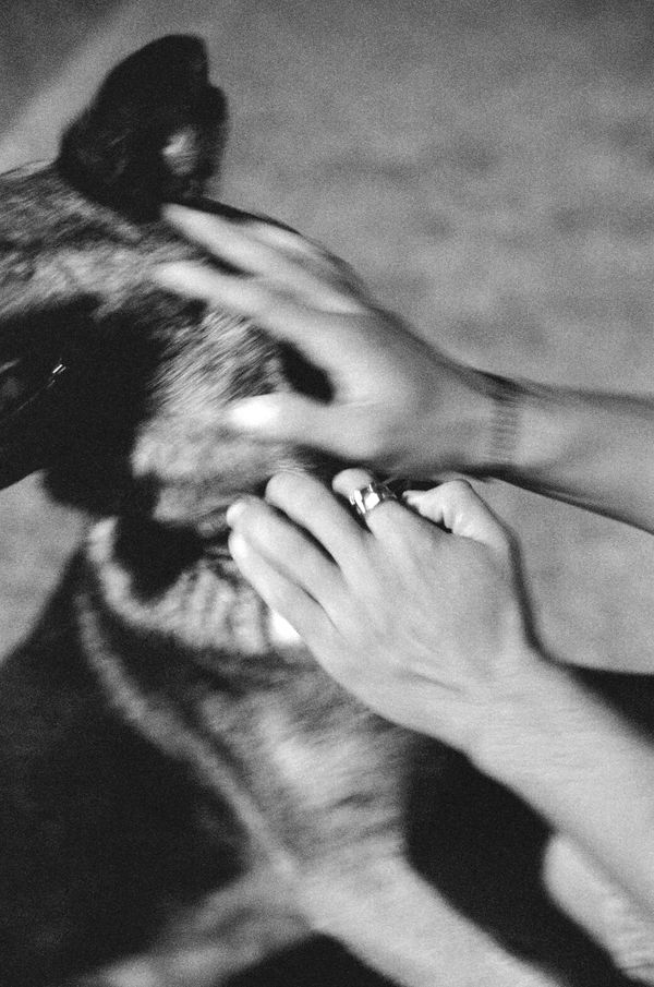 © Anne Simin Shitrit