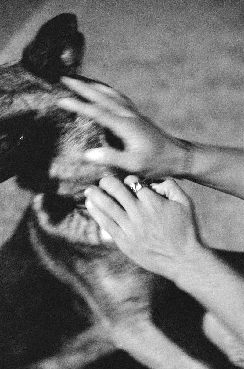 © Anne Simin Shitrit