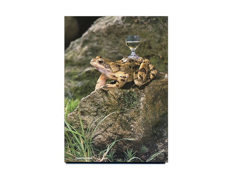 © You Run Around Town Like A Fool And You Think That It's Groovy 2 by Chantal Rens | Pantofle Books