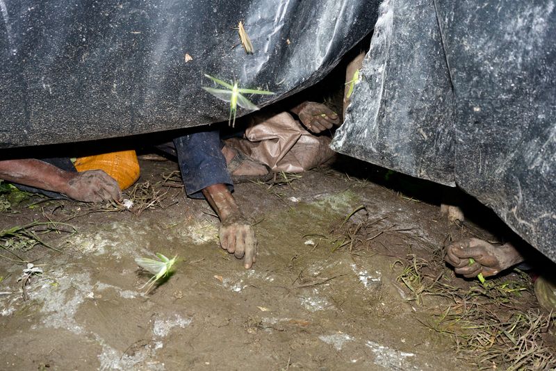 © Michele Sibiloni - Bundibugyo 2017. Uganda