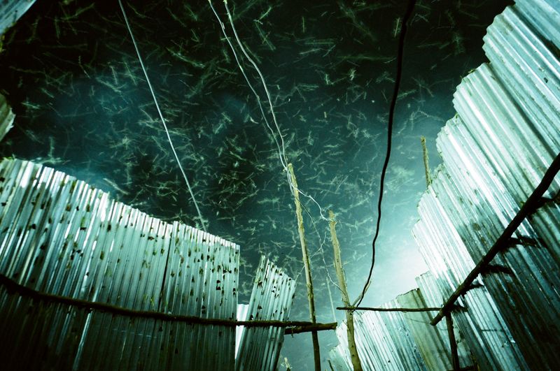 © Michele Sibiloni - Fort Portal 2017. Uganda.