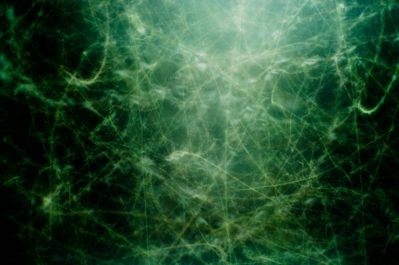 © Michele Sibiloni - Fort Portal 2017. Uganda.