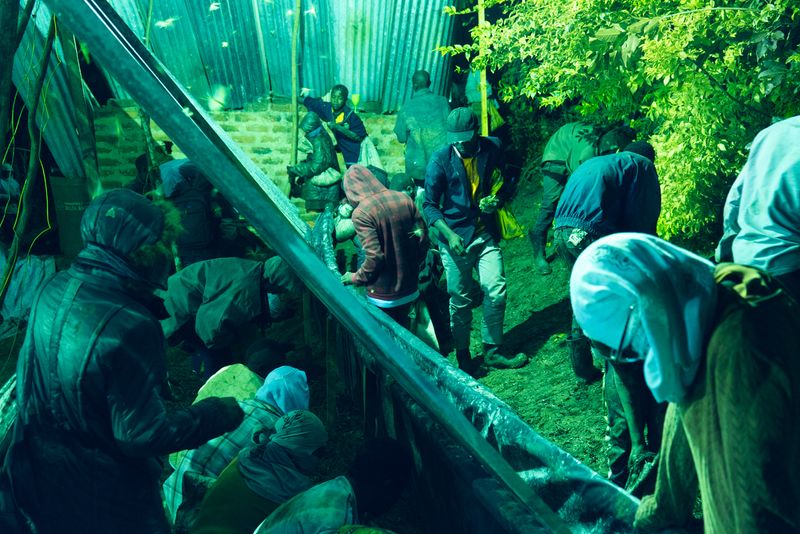 © Michele Sibiloni - Bundibugyo 2017. Uganda.