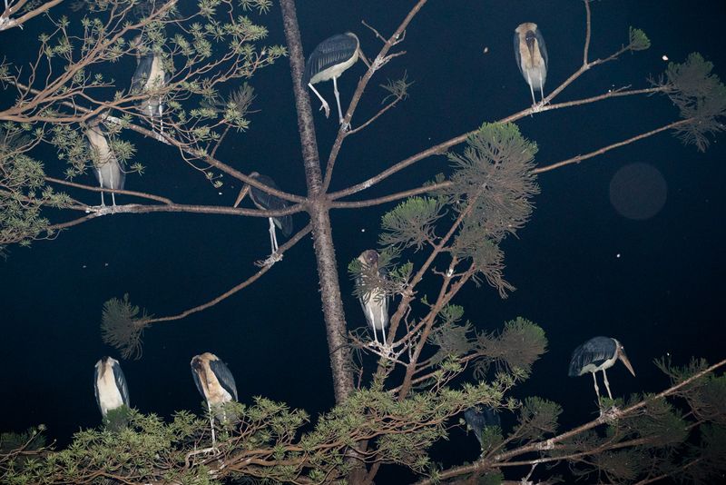 © Michele Sibiloni - Kampala 2017. Uganda.