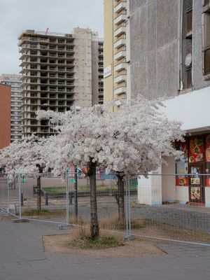 After the Plan (Stadt am Werk)