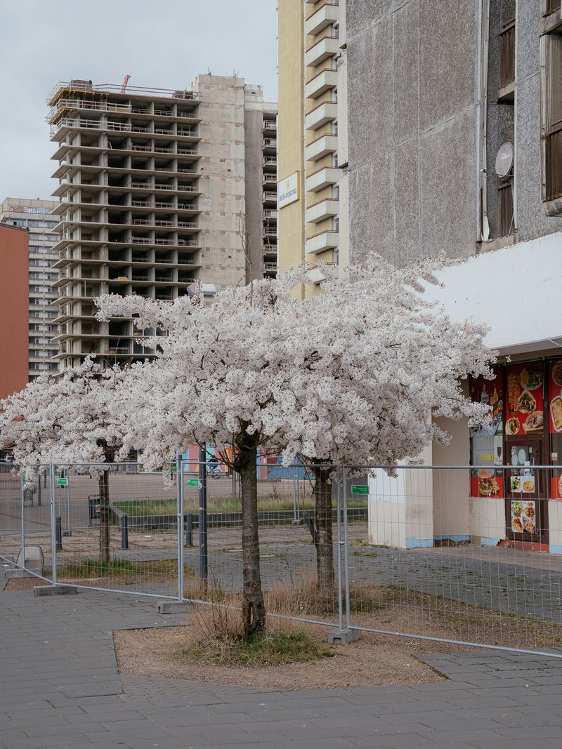 © Antonia Leicht - Halle-Neustadt, March 2026