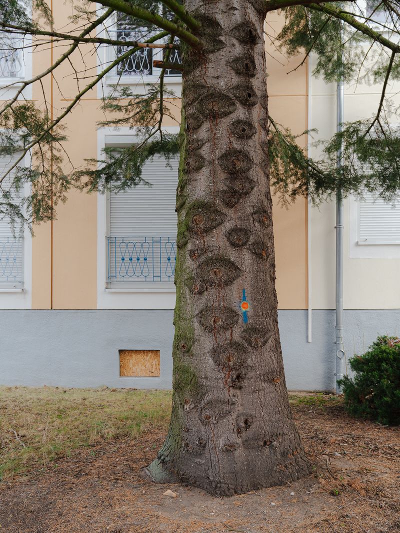 © Antonia Leicht - Hoyerswerda, Nov. 2025