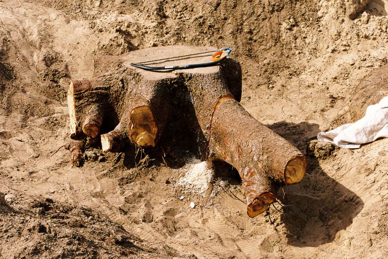 © Antonia Leicht - I.24