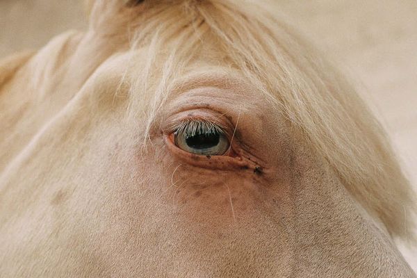 © Antonia Leicht - Image from the IS THIS STILL BERLIN photography project