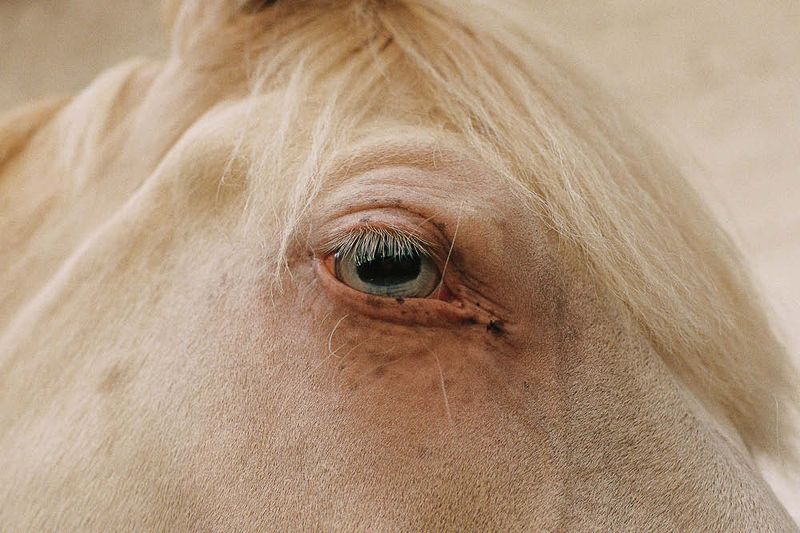 © Antonia Leicht - Image from the IS THIS STILL BERLIN photography project