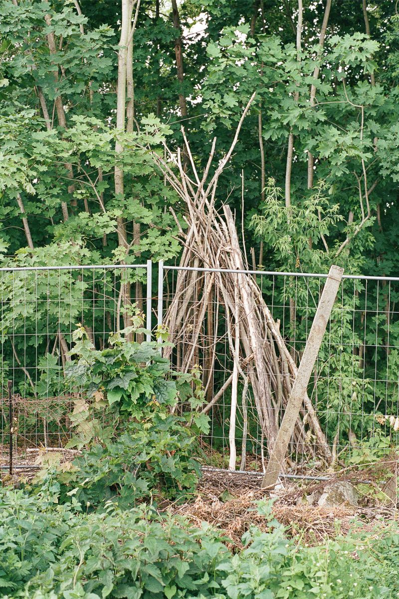 © Antonia Leicht - IV.9