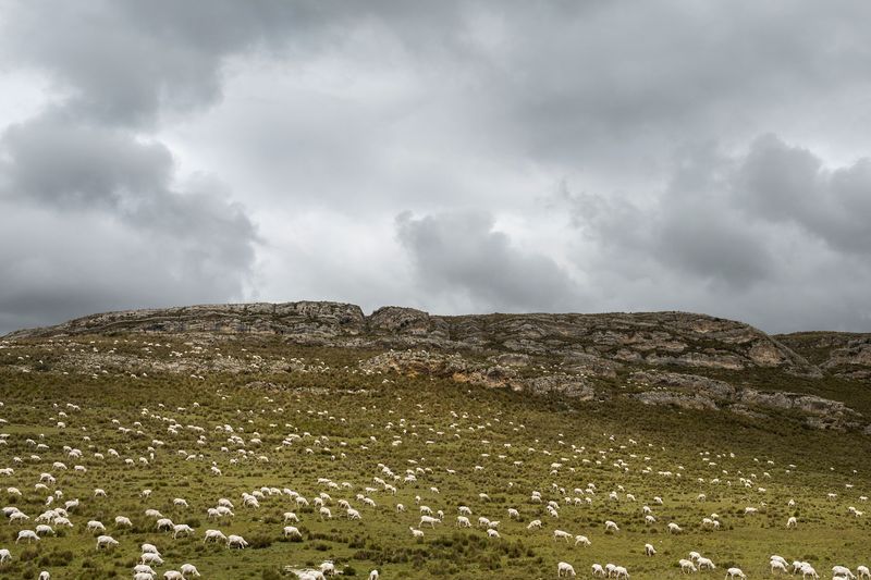 © Lucero Del Castillo - Image from the Why don't the stars fall? and more science questions curious girls ask photography project