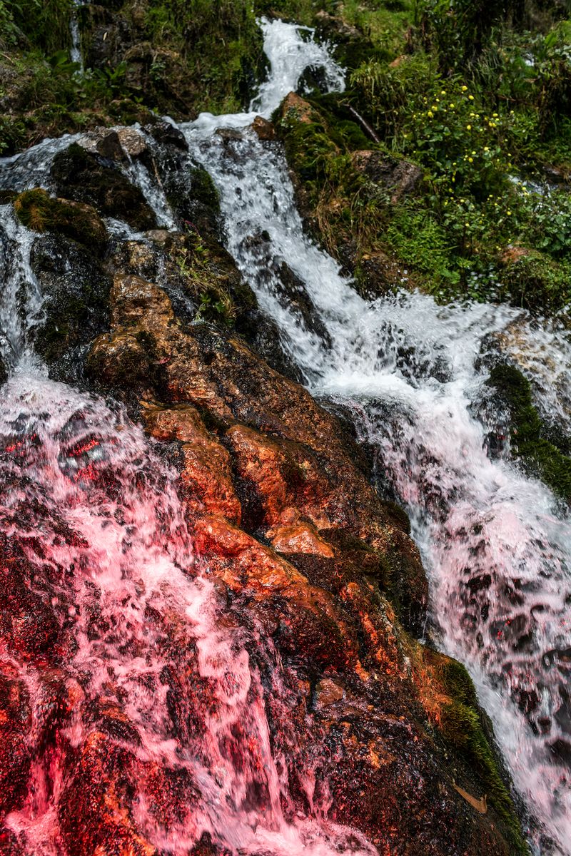 © Lucero Del Castillo - For a seed to germinate, many things are needed, although in reality these can be summarized in three: water, sun and air.