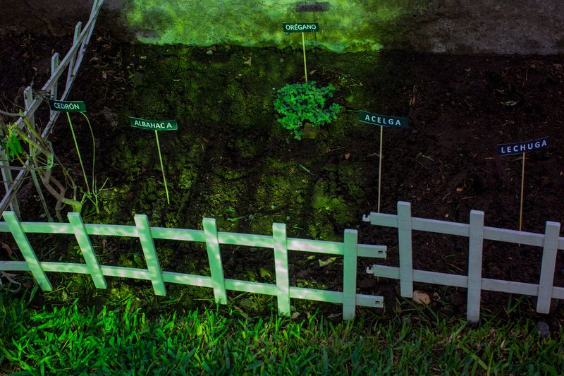 © Lucero Del Castillo - Image from the Why don't the stars fall? and more science questions curious girls ask photography project