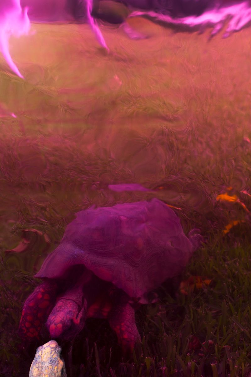 © Lucero Del Castillo - Image from the Why don't the stars fall? and more science questions curious girls ask photography project