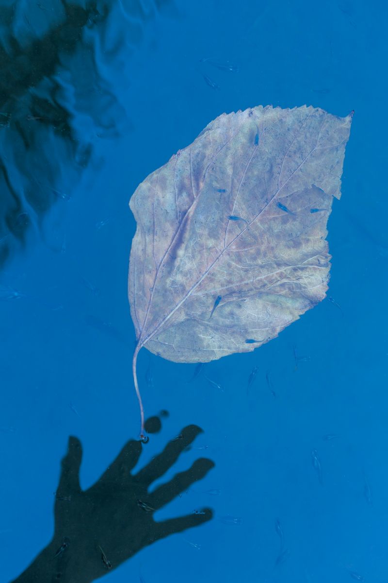 © Lucero Del Castillo - Image from the Why don't the stars fall? and more science questions curious girls ask photography project