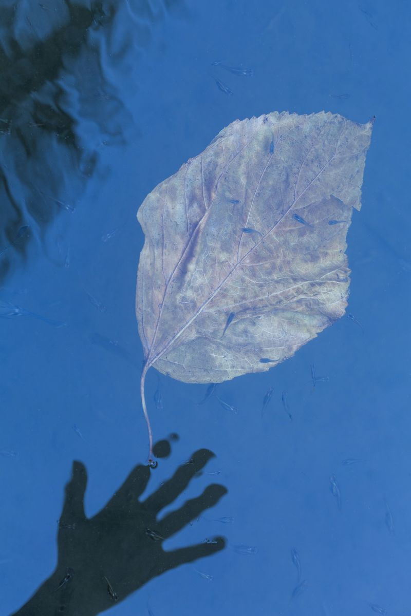 © Lucero Del Castillo - Image from the Why don't the stars fall? and more science questions curious girls ask photography project