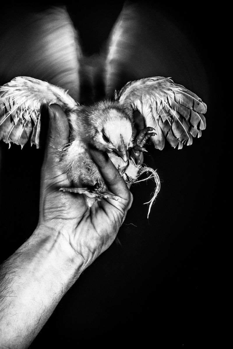 © Panos Kefalos - Image from the saints photography project