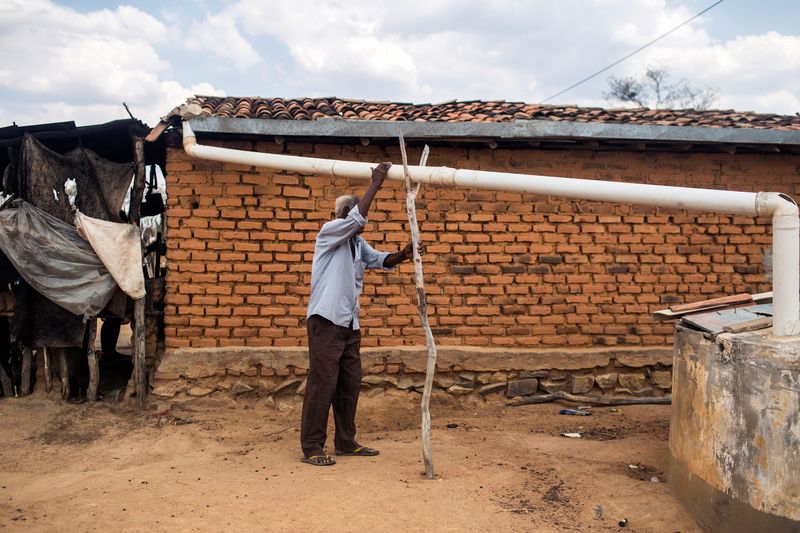 © Lianne Milton - Image from the Hinterland: Stories from the Caatinga photography project
