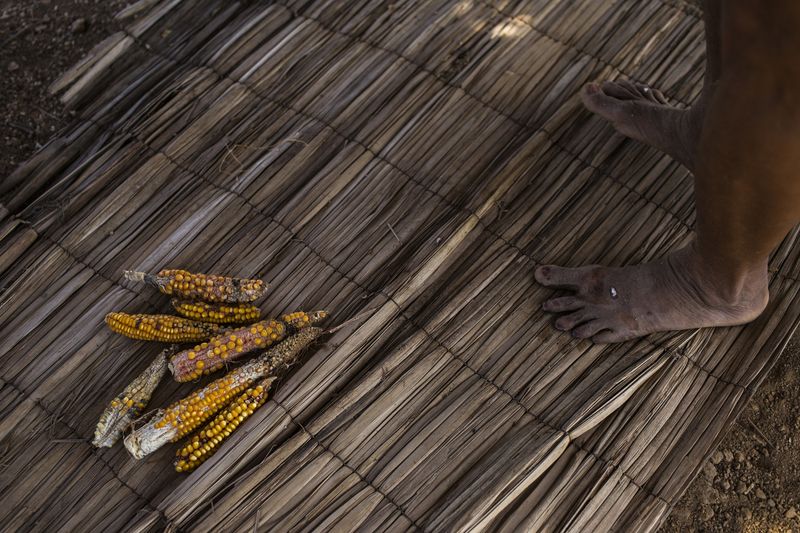 © Lianne Milton - Image from the Hinterland: Stories from the Caatinga photography project