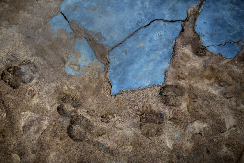 © Lianne Milton - Image from the Hinterland: Stories from the Caatinga photography project