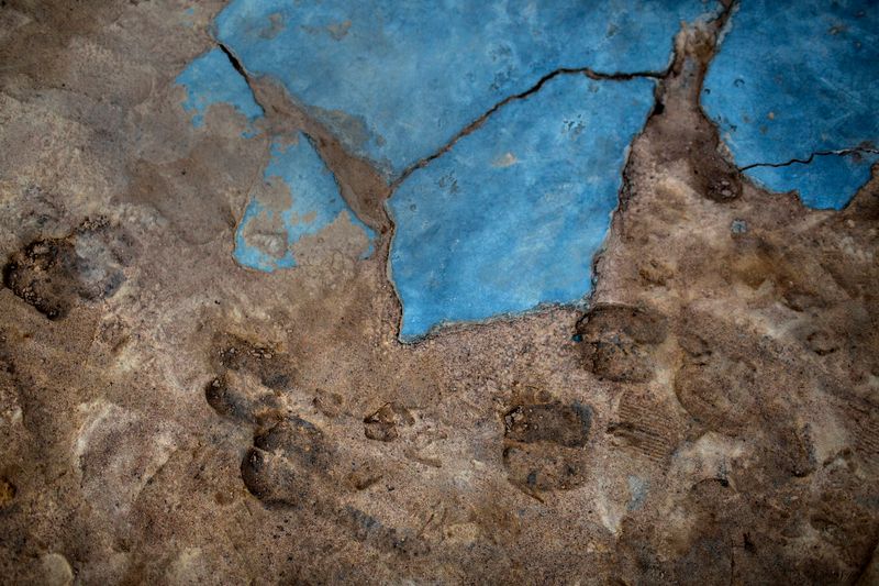 © Lianne Milton - Image from the Hinterland: Stories from the Caatinga photography project