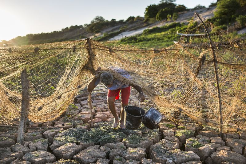 © Lianne Milton - Image from the Hinterland: Stories from the Caatinga photography project