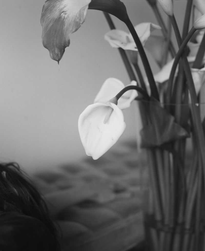 © Lisa Jayne Cramer - Image from the YOUR child. MY child. EVERYONE'S child. photography project