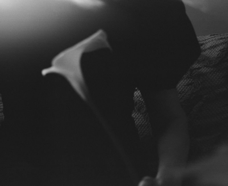 © Lisa Jayne Cramer - Carrying Something Fragile