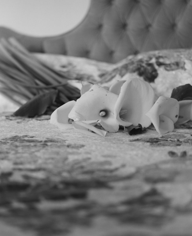 © Lisa Jayne Cramer - Where Life Refuses the Frame