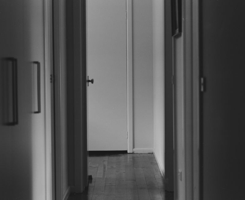 © Lisa Jayne Cramer - The Shape of Our Days