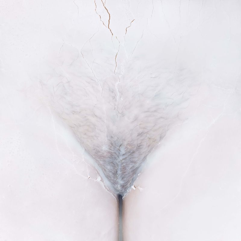 © Benedicte Vanderreydt - Image from the MATER (SEMPER) CERTA EST photography project