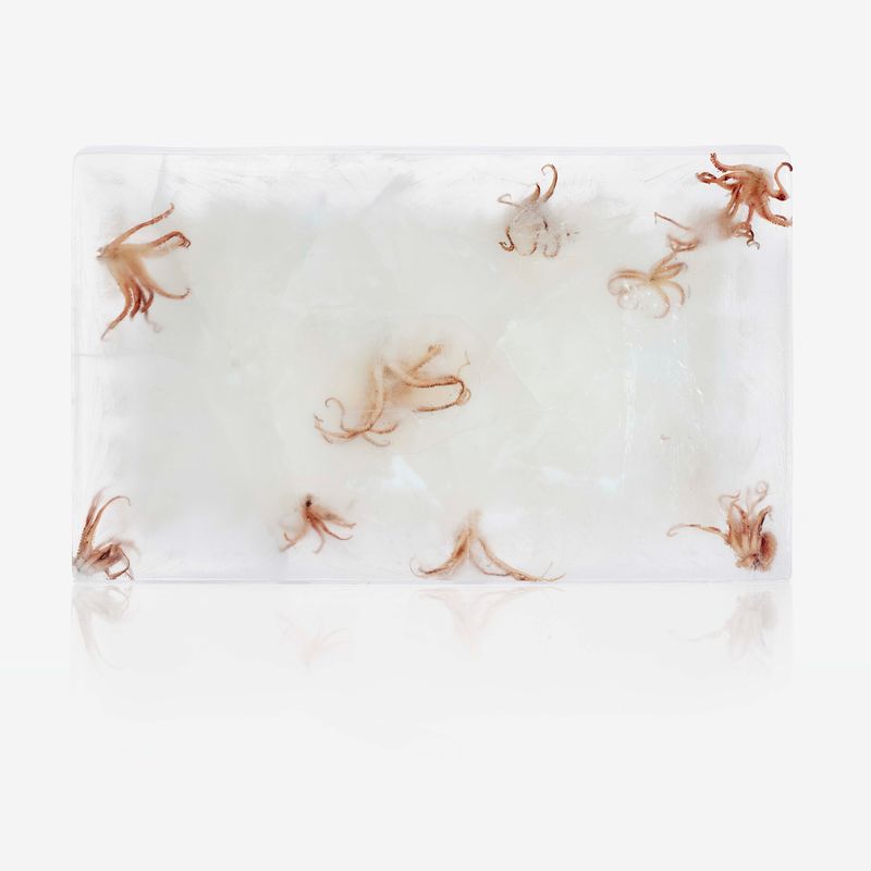 © Benedicte Vanderreydt - Image from the MATER (SEMPER) CERTA EST photography project