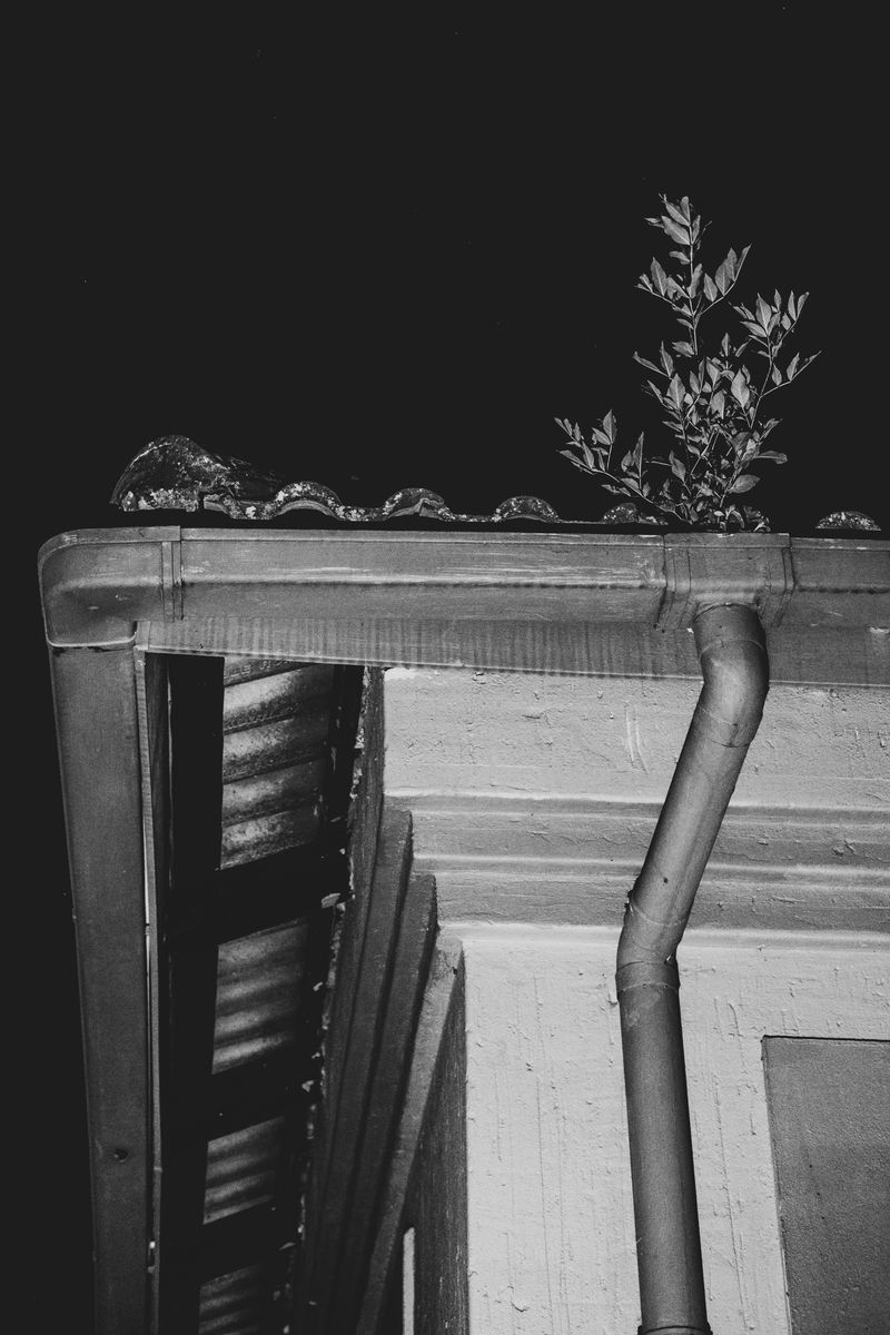 © Nadia Ettwein - It's just a little love that I need